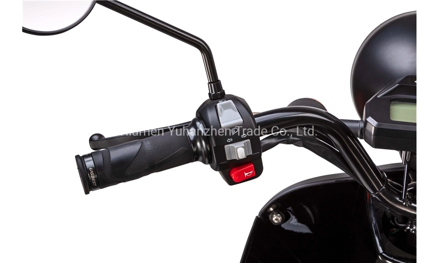 EEC 2000W Electric Moped for Adult Scooter Speed 45km/H with Long Range