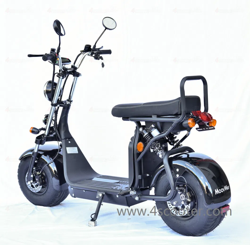 1000W 1500W 2000W Coc/EEC/CE Legal Electric Bike Motorcycle City Coco Scooter