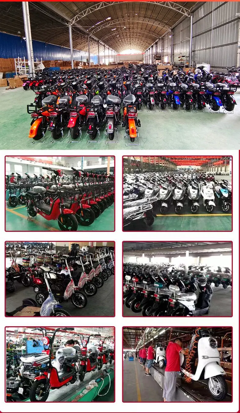 Golf Electric Bike Motorcycles Tricycle 2000W 60V 20ah EEC Coc Electric Scooter Bike Citycoco Model