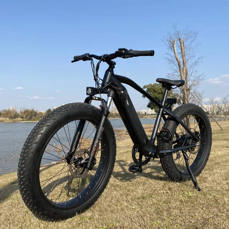 Amazon Top Selling 750W Powerful Fat Tire Electric Bike