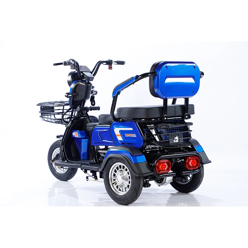 Sightseeing Electric Tricycle Trike with Windshield Wiper Adult Recreational Electric Car