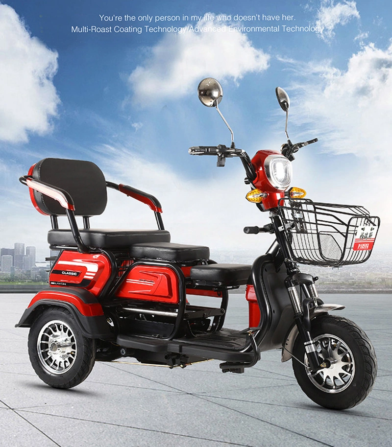 Sightseeing Electric Tricycle Trike with Windshield Wiper Adult Recreational Electric Car