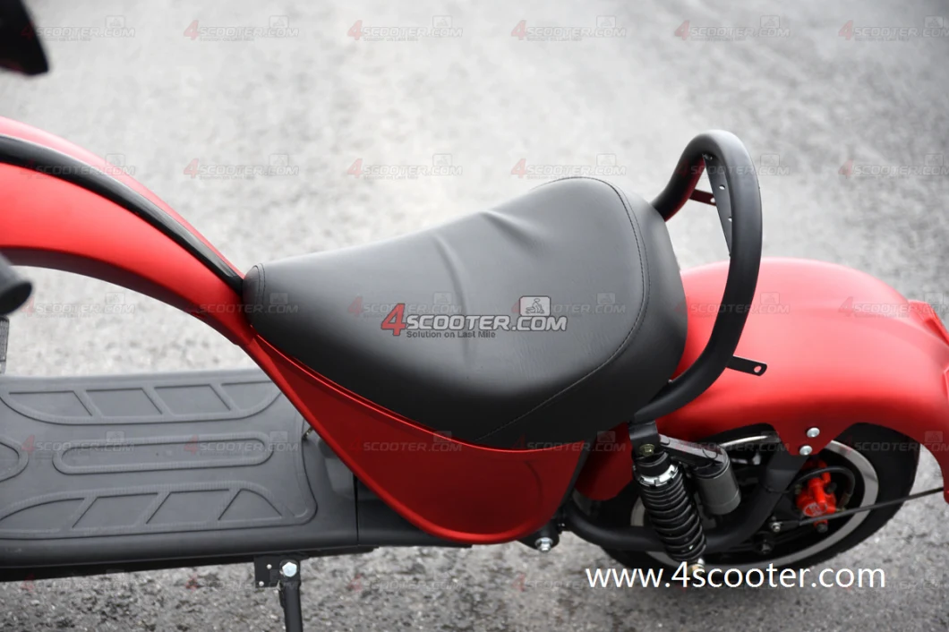 2 Wheel Bicycle Citycoco Moped Electric Direct Deliver From Electric Scooter Europe Warehouse