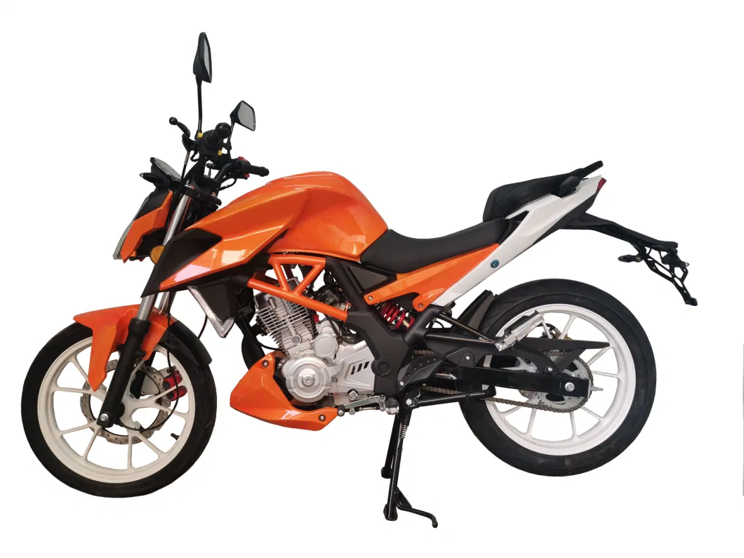 2023 Fenghao Good Quality Street Motorbike with 150cc 200cc 250cc Engines