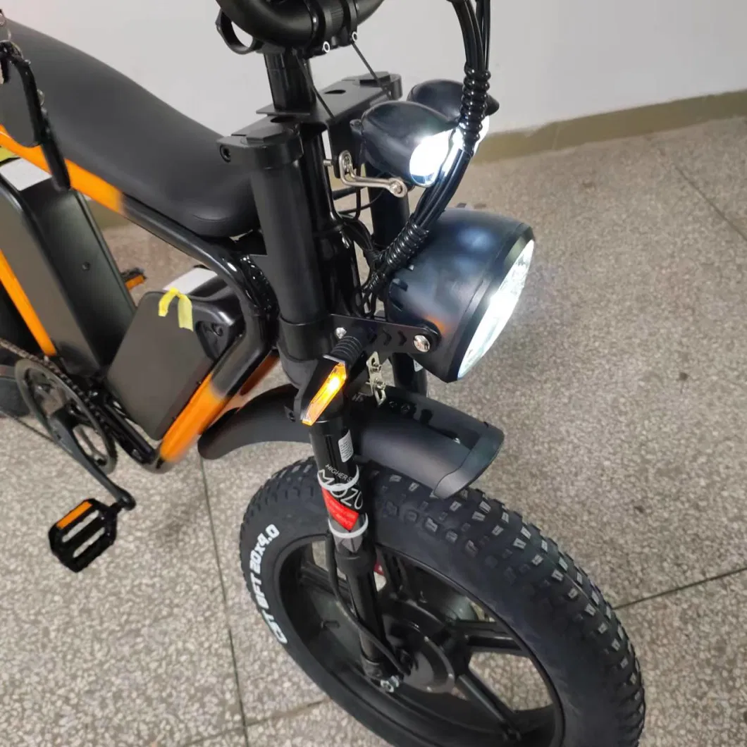 Dual Motor 2000W Double Battery 52V 44ah Electric Fat Bike Ebike