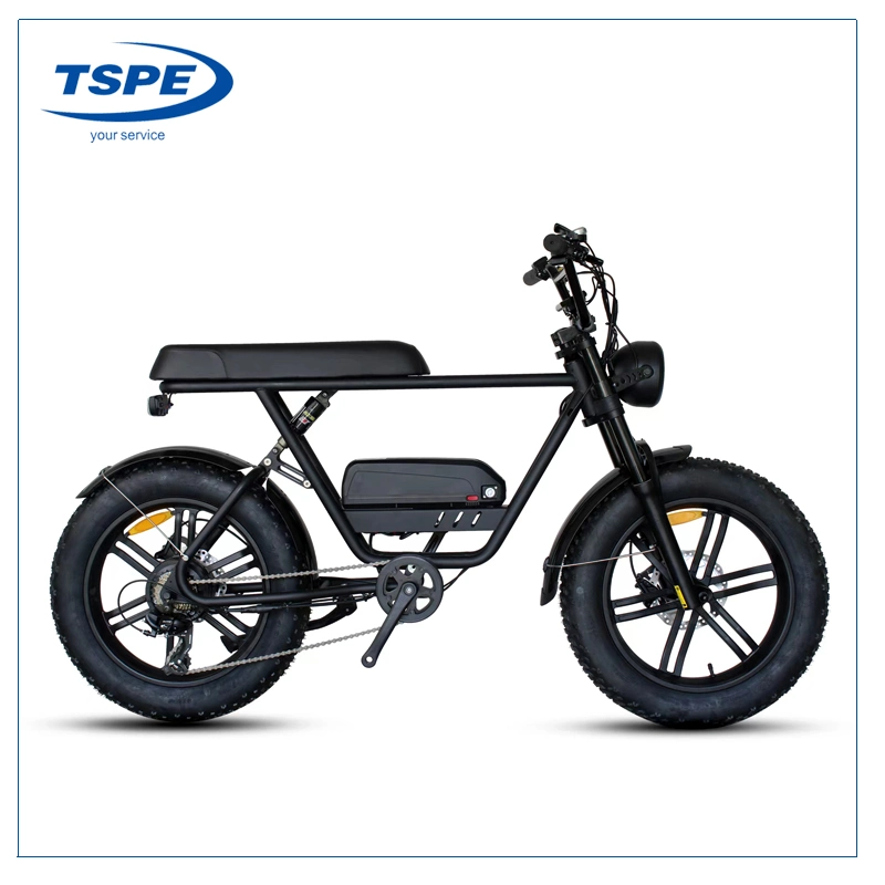 20inch Fat Tires Electric Bike 500W Electric Bicycle Motorcycle