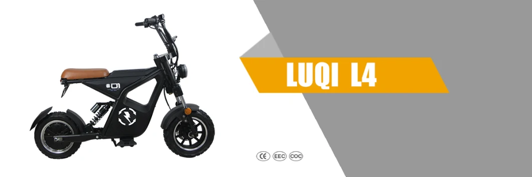 High Performance EEC Certificate1000W Electric Scooter with Pedal