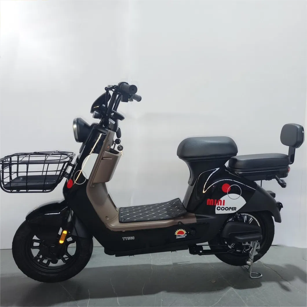 Willstar The Latest Electric Bike Ty568 with Chilwee Lead-Acid Battery Excellence Performance and Reliable and Durable Quality