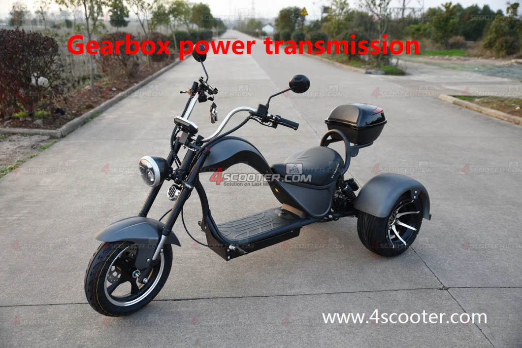 2000W 3000W 4000W 20ah Three Wheel Electric Motorcycle Trike Scooter