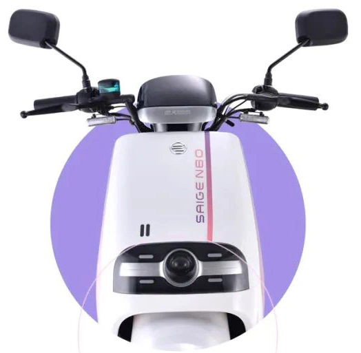 Saige Hot Sale 2 Wheeler EV 1000W Electric Mobility Scooter Road Racing Bicycle Electrical Powerful Wholesale for Adult