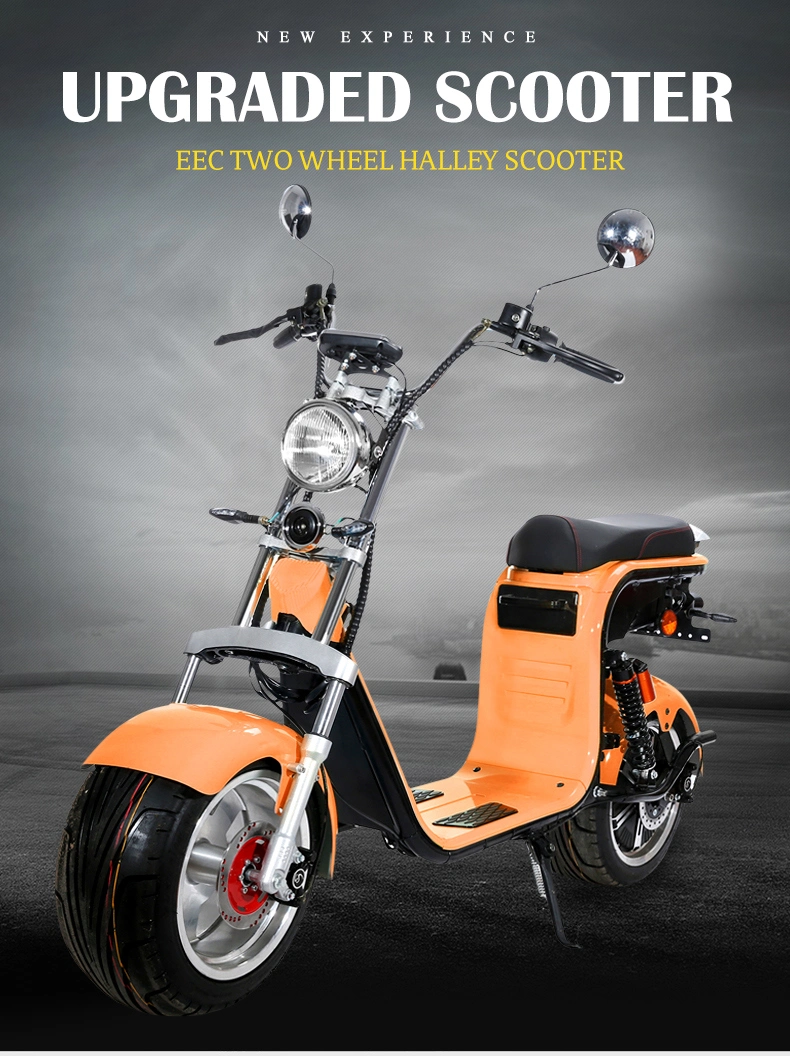 CF-2.0 Electric Motor Cycle 1500W/2000W12ah/20ah Coc CE