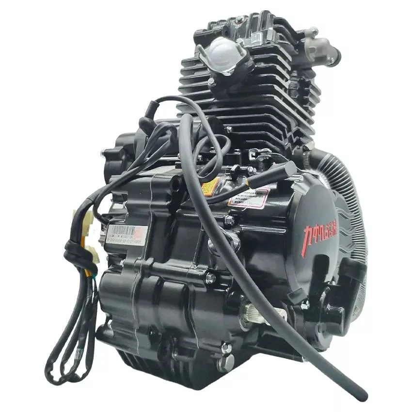 for Bajaj Motorcycle 4-Stroke Water-Cooling Engine Parts Lifan Wolf 300cc Engine