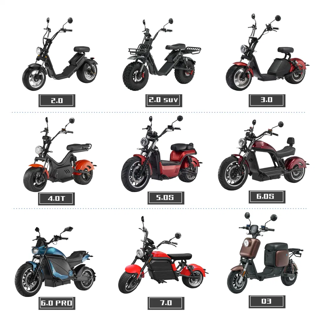 100km Long Distance Ultra Strong Frame Simple Model Electric Citycoco for 2 Man