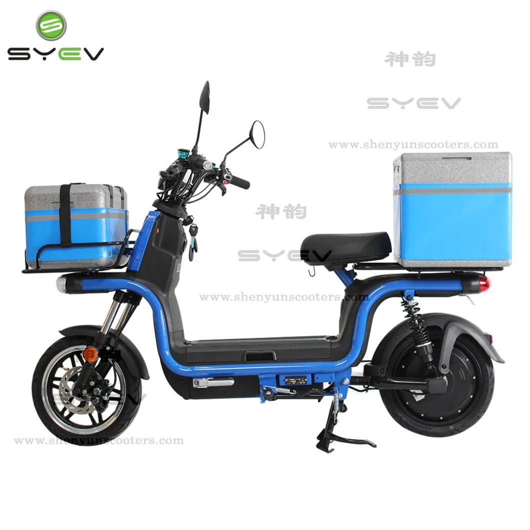 China Factory Directly Selling 2 Wheels Practical EEC/Coc Electric Scooter with Carry Box Double 60V Lithium Batteries Electric Delivery Bike Motorcycles