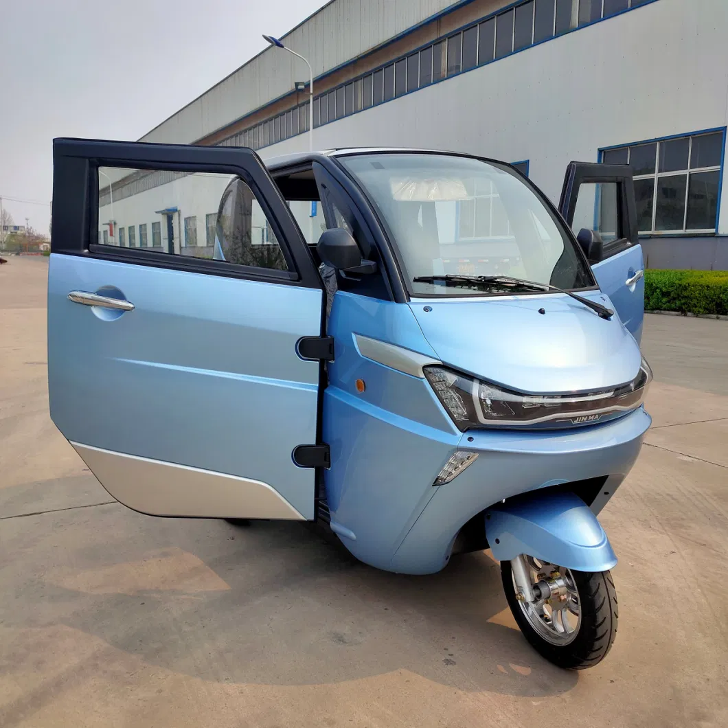 Enclosed 2 Seater Electric 3 Wheel Bicycle with Coc