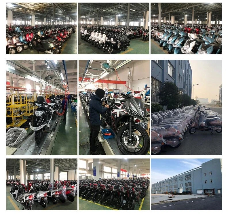 Bike Scooter 1000W 2000W Adult 3 Wheel Fat Tire EU Warehouse 2 Seat 8000W Kit Battery for Electric Bike MID Electric Bicycle