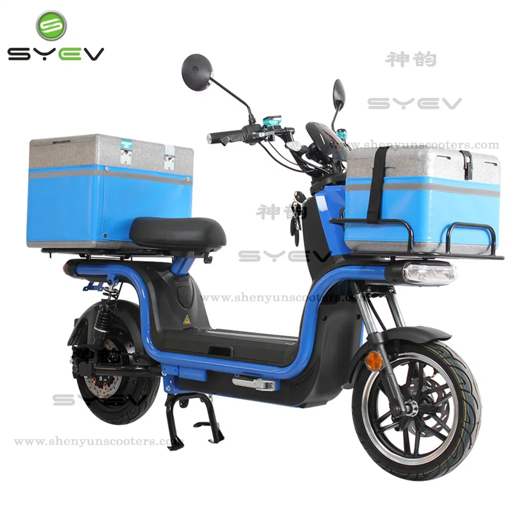 China Factory Directly Selling 2 Wheels Practical EEC/Coc Electric Scooter with Carry Box Double 60V Lithium Batteries Electric Delivery Bike Motorcycles