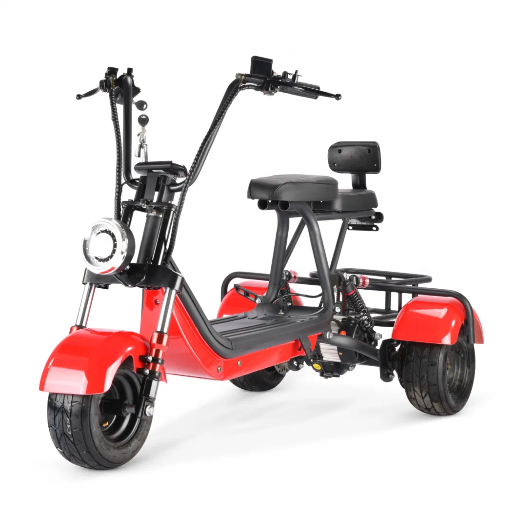 New Arrival Mini Electric Scooter Adults Citycoco 800W Bike