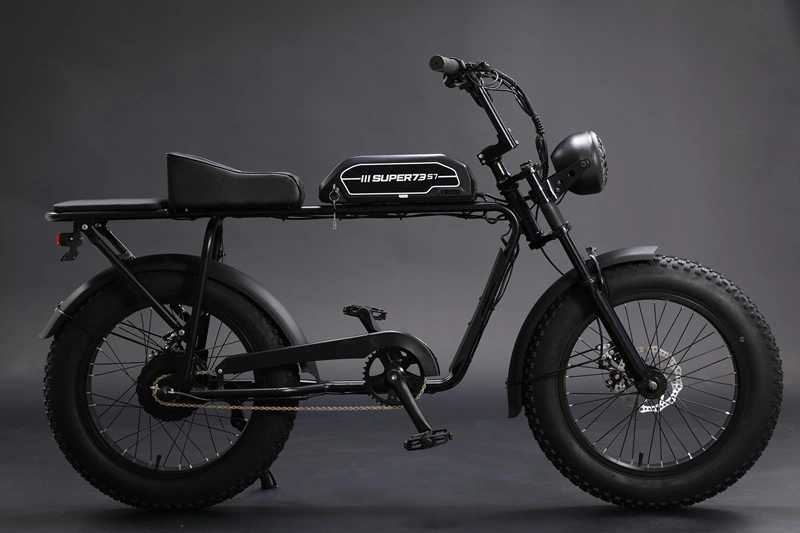 Electric Bike 2 Wheels Fat Tire Snowmobile E-Scooter Bicycle ATV