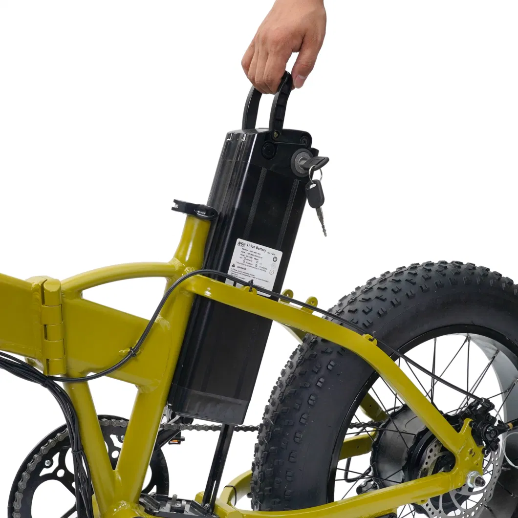 Newest Model Foldable High Speed Powerful Motor Electric Bicycle Price Best Electric Mountain Bikes