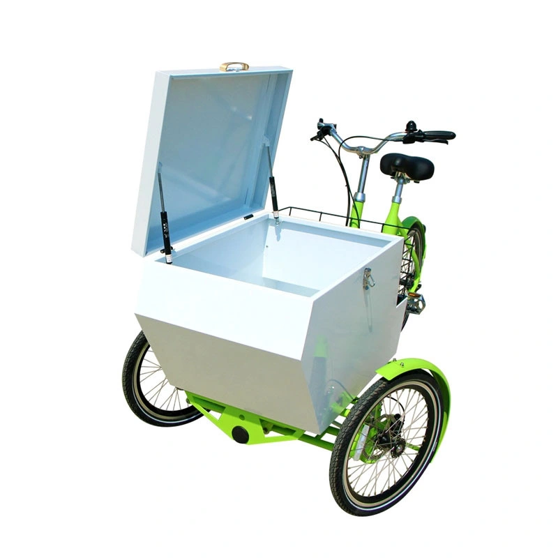 White Color Adult Tricycle Electric Mobile Cargo Bike Shopping Cart with Stainless Steel Box Loaded Customizable