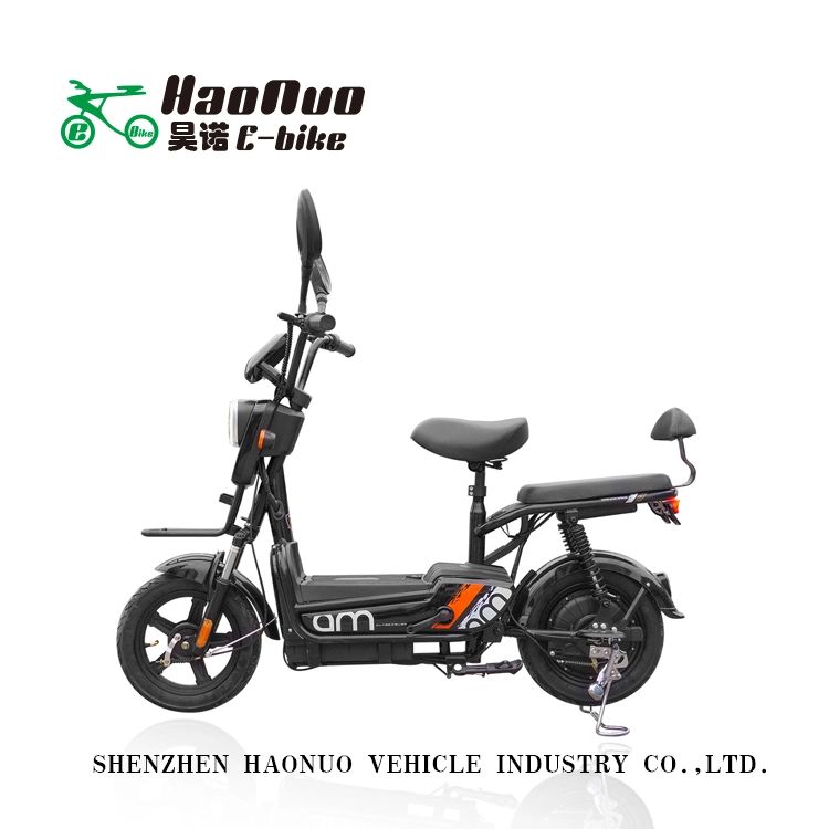 2022 Hot Sell New Model 14 Inch 48V 350watt Electric Bike