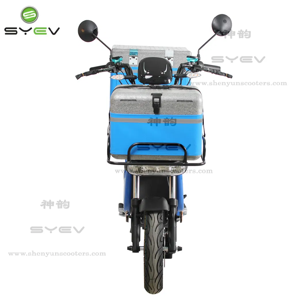 China Factory Directly Selling 2 Wheels Practical EEC/Coc Electric Scooter with Carry Box Double 60V Lithium Batteries Electric Delivery Bike Motorcycles