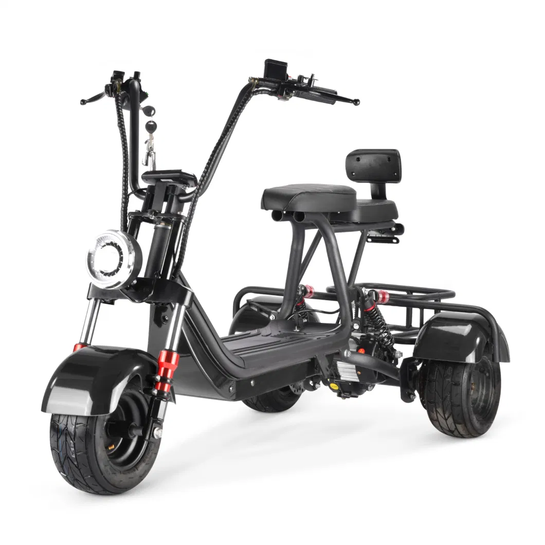 New Arrival Mini Electric Scooter Adults Citycoco 800W Bike
