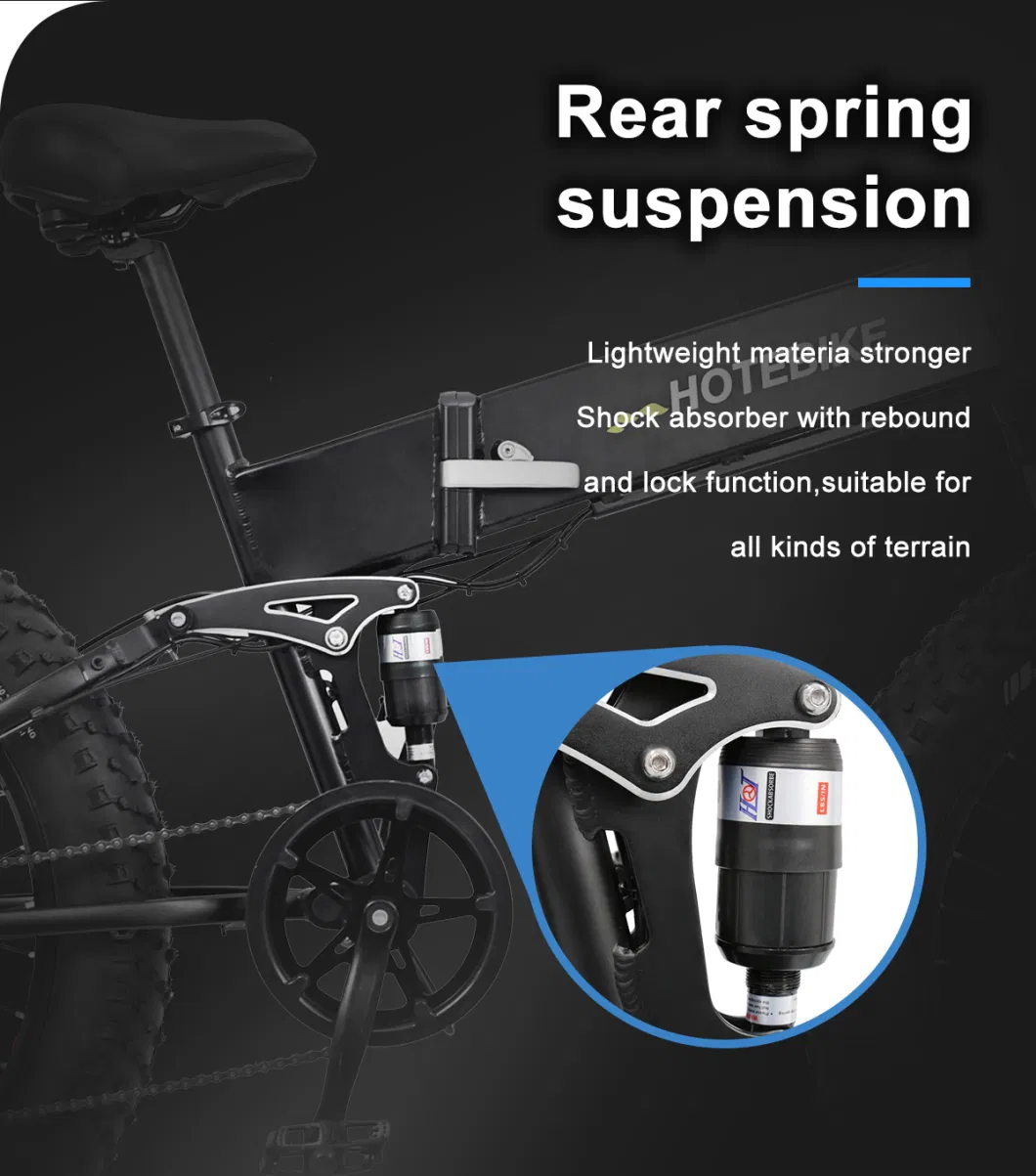 Fashion Electric Fat Tire Bike 500 750 Watt Chopper 1000W-Electric-Bike