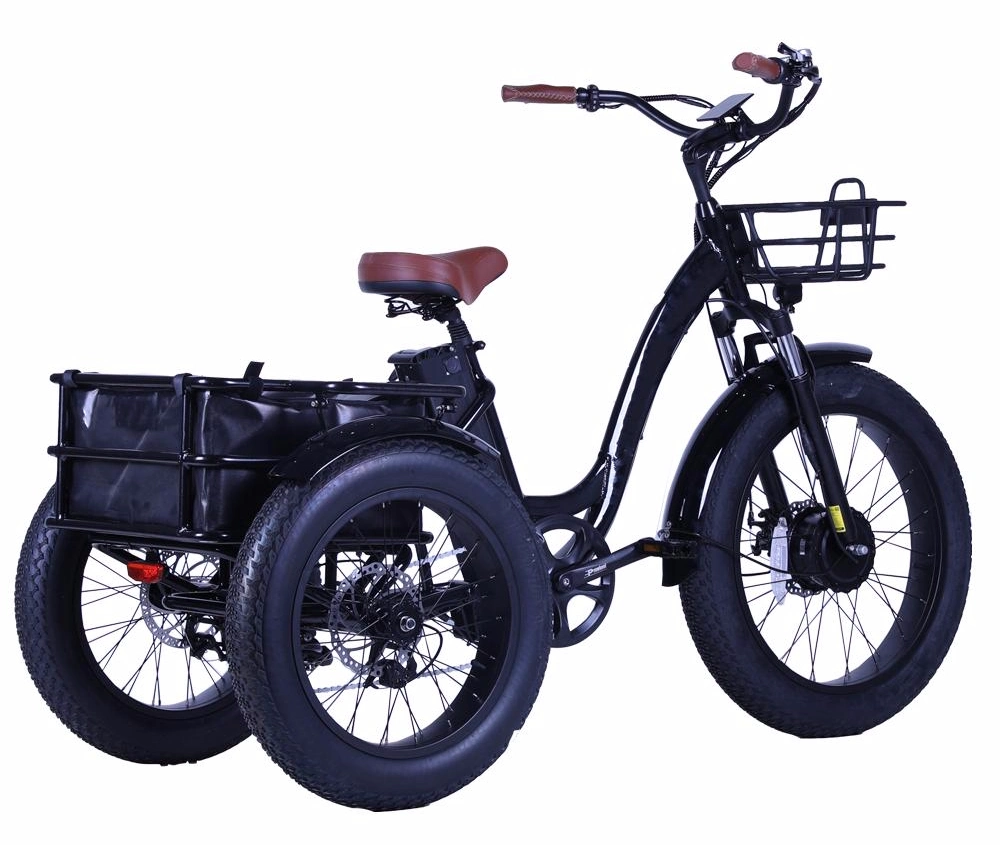 Cargo Electric Bike 500W Hub Motor 48V 13ah Fatbike 4.0inch Electric Tricycle Bike