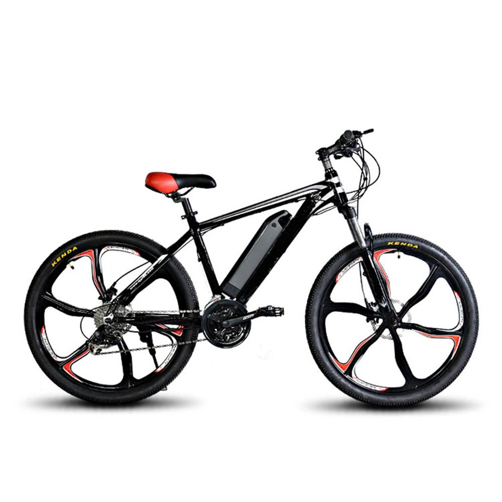 Buy Direct 1000W Beautiful Bicicletta Elettrica Electric Bicycle From China