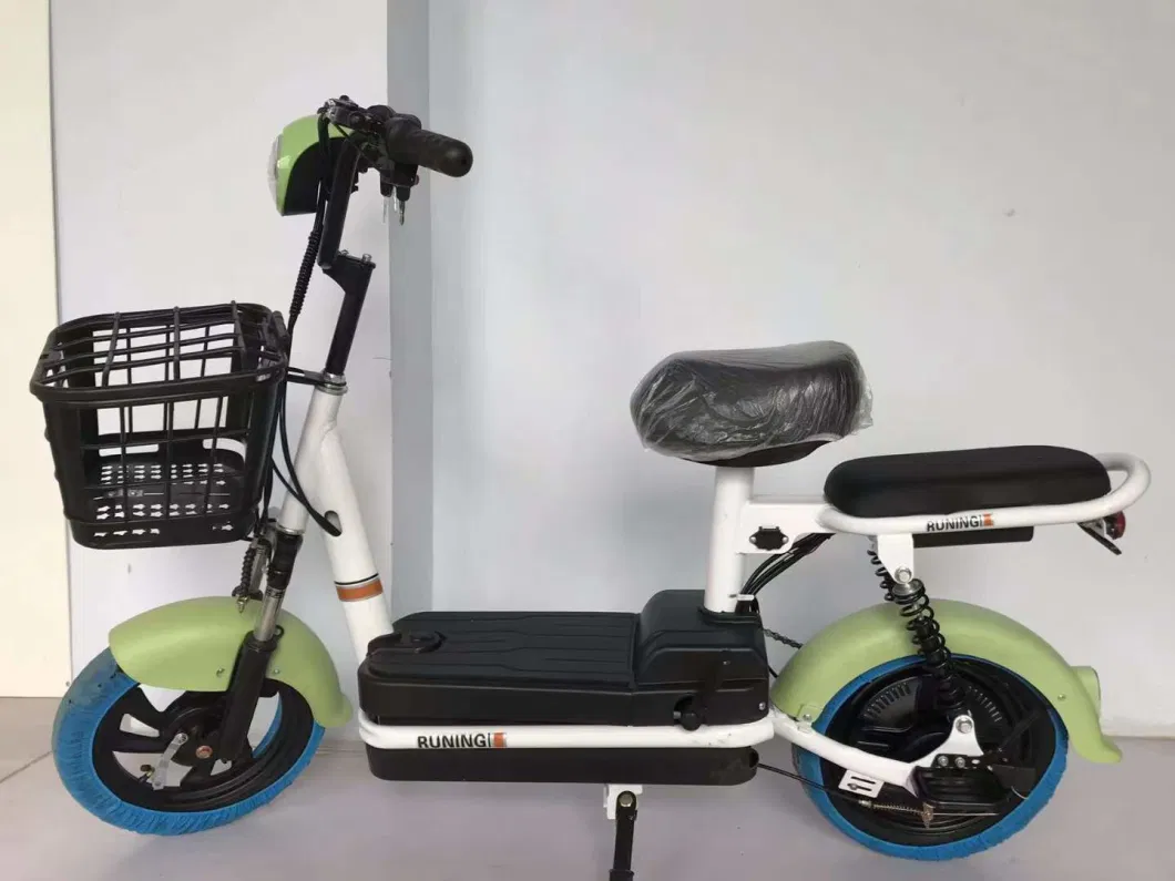 Model Prince 250W Electric Scooter Electric Bicycle