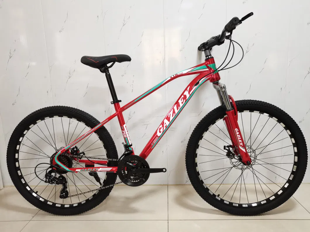 Brand New 2021 Mountain Bicycle E Bike MTB Bike Ready to Ship From Bicycle Supplier