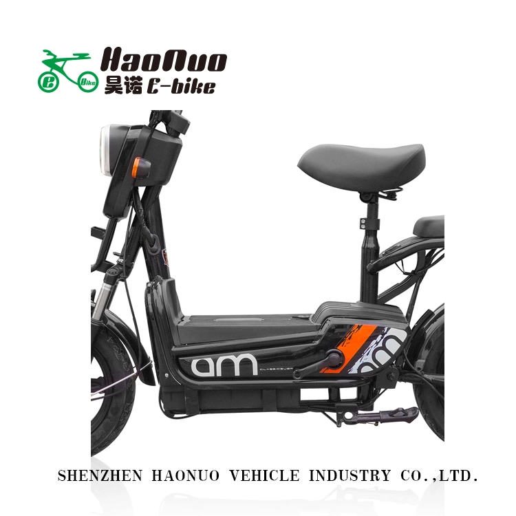 2022 Hot Sell New Model 14 Inch 48V 350watt Electric Bike