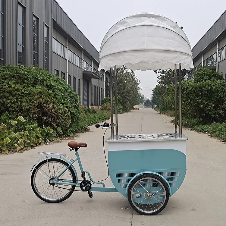 Factory Directly Supply Freezer Bike for Ice Cream Bike Outdoor Food Cart Tricycle Mall Kiosk Mobile Electric Ice Cream Cart