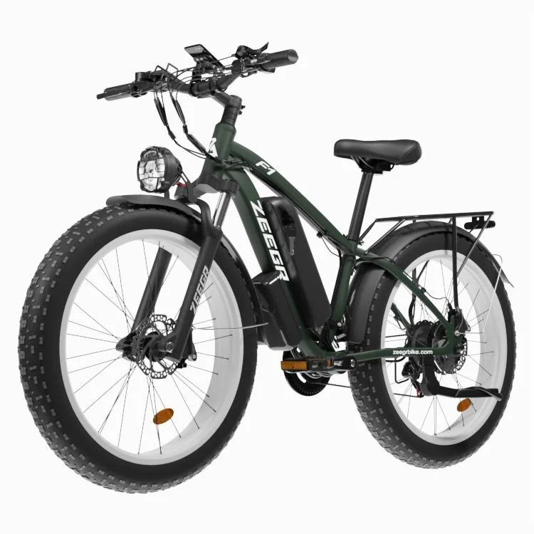 Men&prime;s and Women&prime;s Electric Bicycles Made in China Price Concessions Welcome to Buy