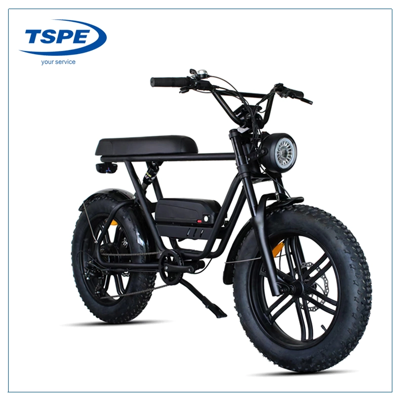 20inch Fat Tires Electric Bike 500W Electric Bicycle Motorcycle