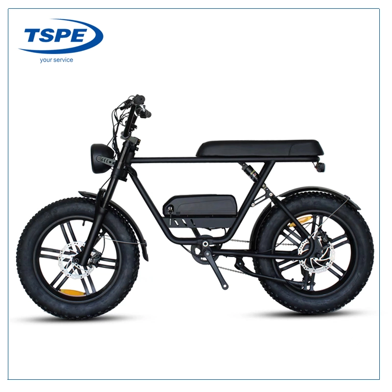 20inch Fat Tires Electric Bike 500W Electric Bicycle Motorcycle