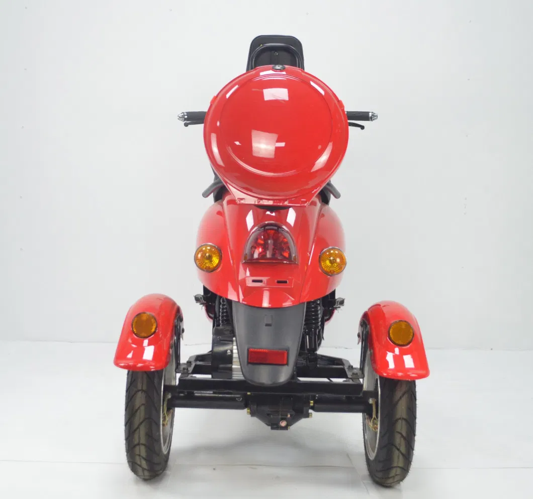 3 Wheels 650W Gear Motor Electric Scooter Tricycle with EEC Coc for Europe Market