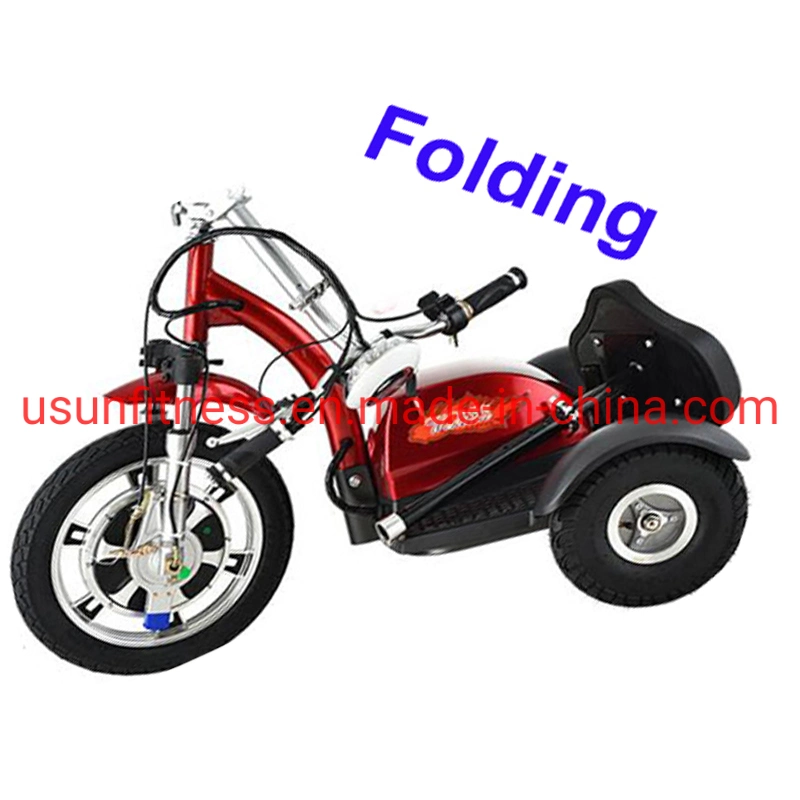 High Speed Folding Electirc Scooter Front Hub Motor Disk Brake Fat Tire Electric Trike for Leisure and Rental