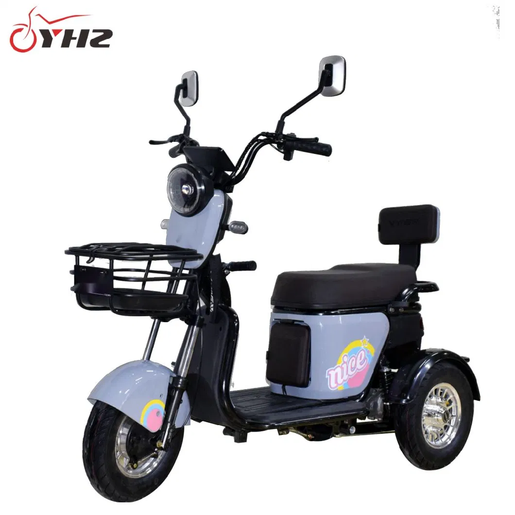 Double Seat 600W Mobility Scooter Three Wheel Electric Bike with Front Basket