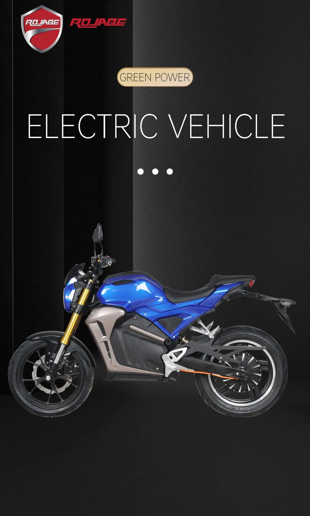 China Factory High Quality Hot Sales Electric Motorcycles Designs Good Price for Sale