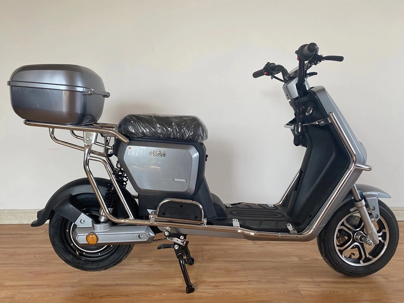 48V 500W Two Wheelers Pedal Assistant Electric Motorcycle Has Box and with Bumper