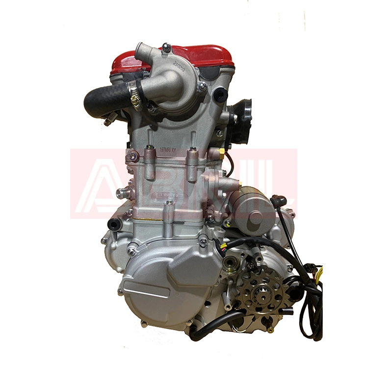 Abril Flying Auto Parts Motorcycle 650cc 1100ms Engine