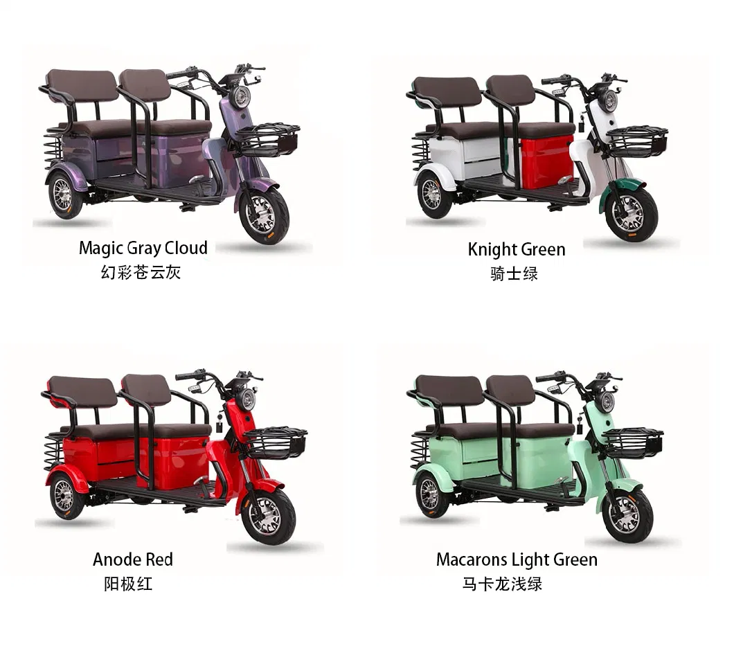 2023 Hot Sales, CCC Certificate, China Manufacturer Good Quality, Electric Leisure Tricycle, 500W 30ah Nampong Motor, Folding Rear Seat