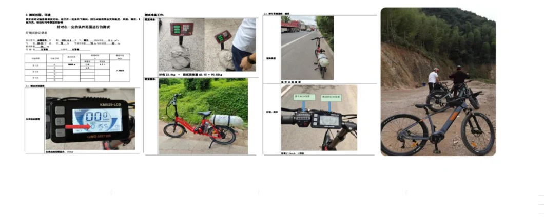 11 Speeds Electric Mountain Bike with Carbon Frame by China Manufacture