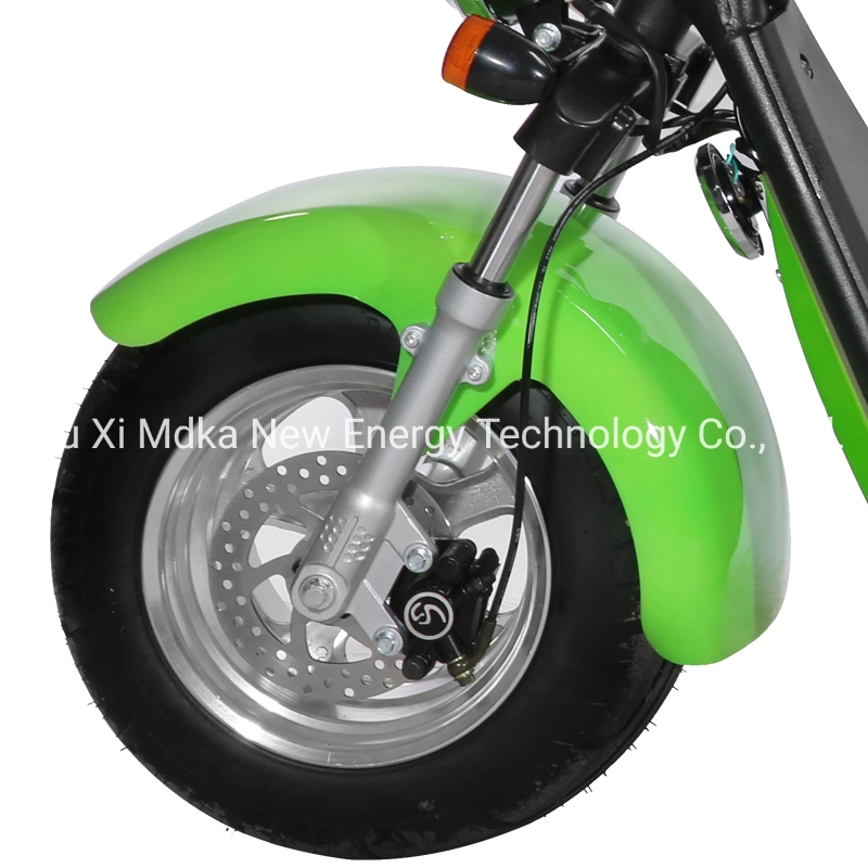 Now Removable and Double Batteries 2000W Long Mileage Eledctric 2 Wheel Fat Tire Electric Scooter Motor Bike