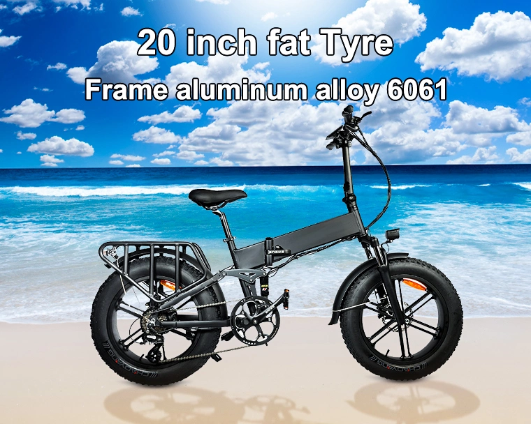 20 Inch 750W Folding Ebike Li-ion Battery Ebike Frame Electric Bike 48V 750W
