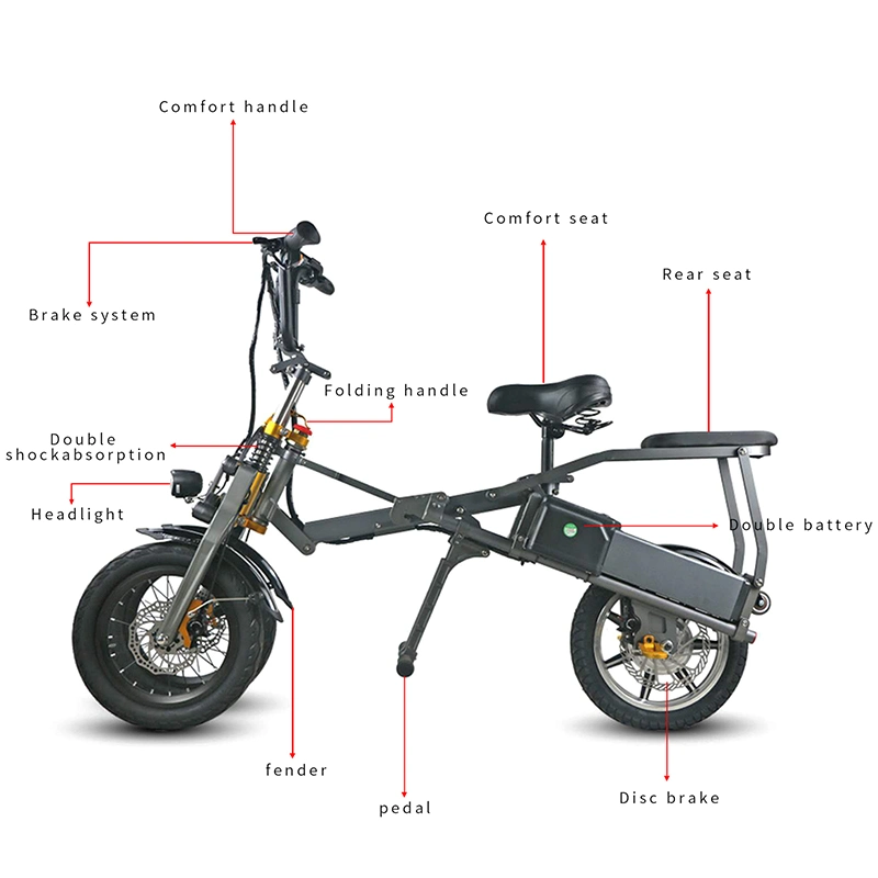 Eco-Friendly Open Body Adult 3 Wheel Electric Bicycle