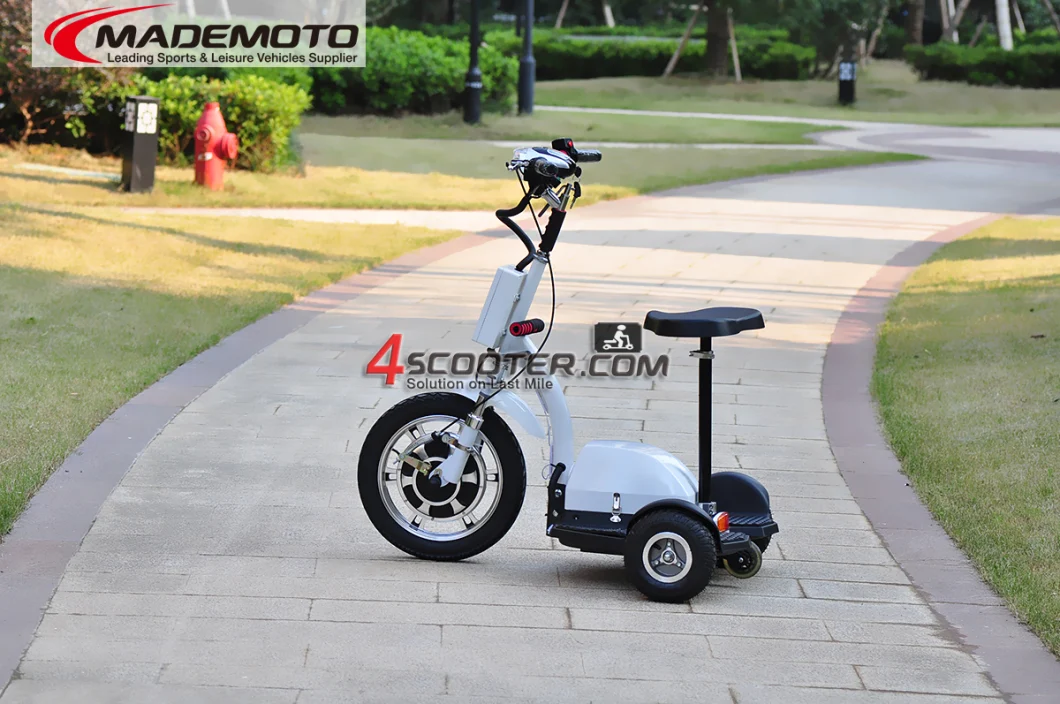 Buy 3 Wheel Electric Scooter for Adult Direct From China Factory